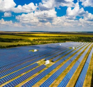 Field covered with rows of solar panels