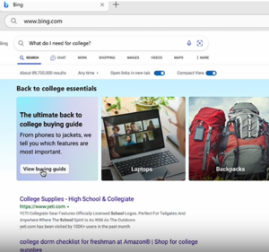 Bing shopping user experience