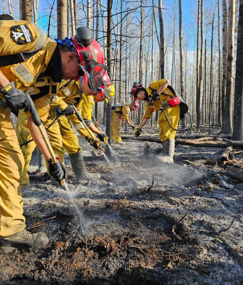 Firefighters in yellow clothing holding hoses and spraying burnt ground in a forest