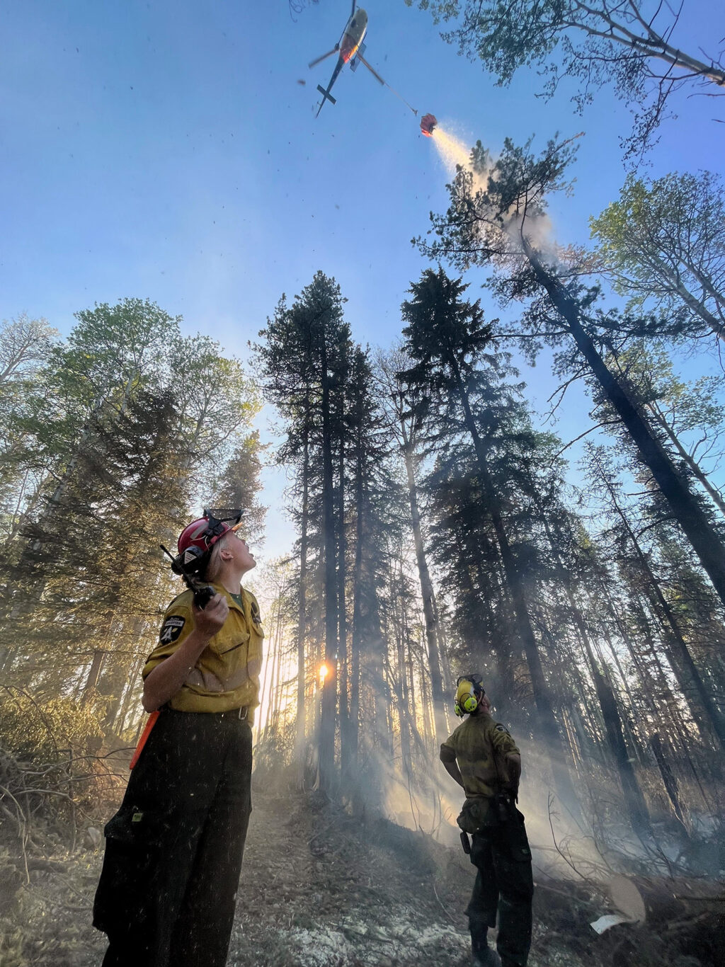 Two firefighters look above as a helicopter drops a water bucket on a tree