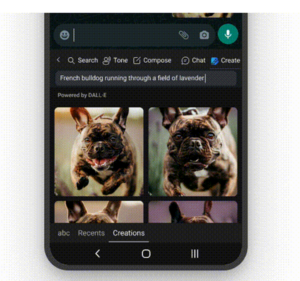 Two images on a cellphone of a French bulldog running through a field of lavender