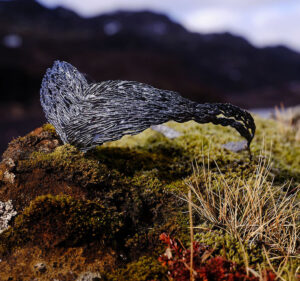 Jewelry headpiece resting on a mossy rock