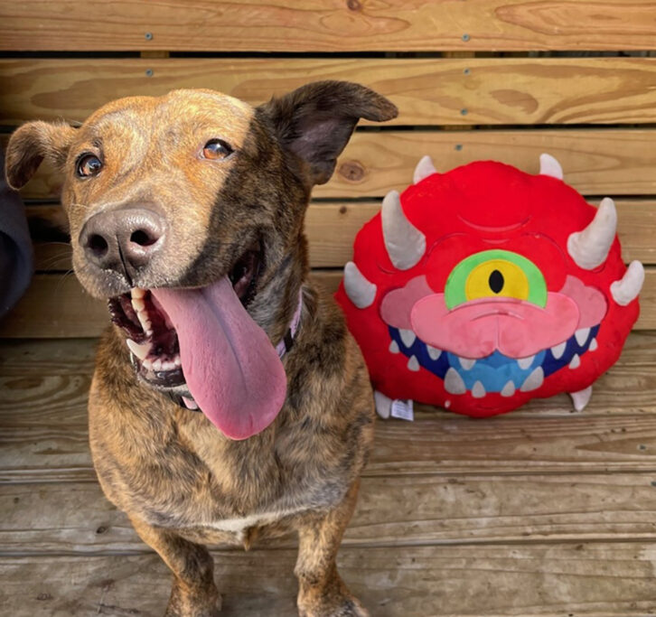 Happy dog smiling with tongue out next to red plush cacodemon inspired by DOOM franchise.