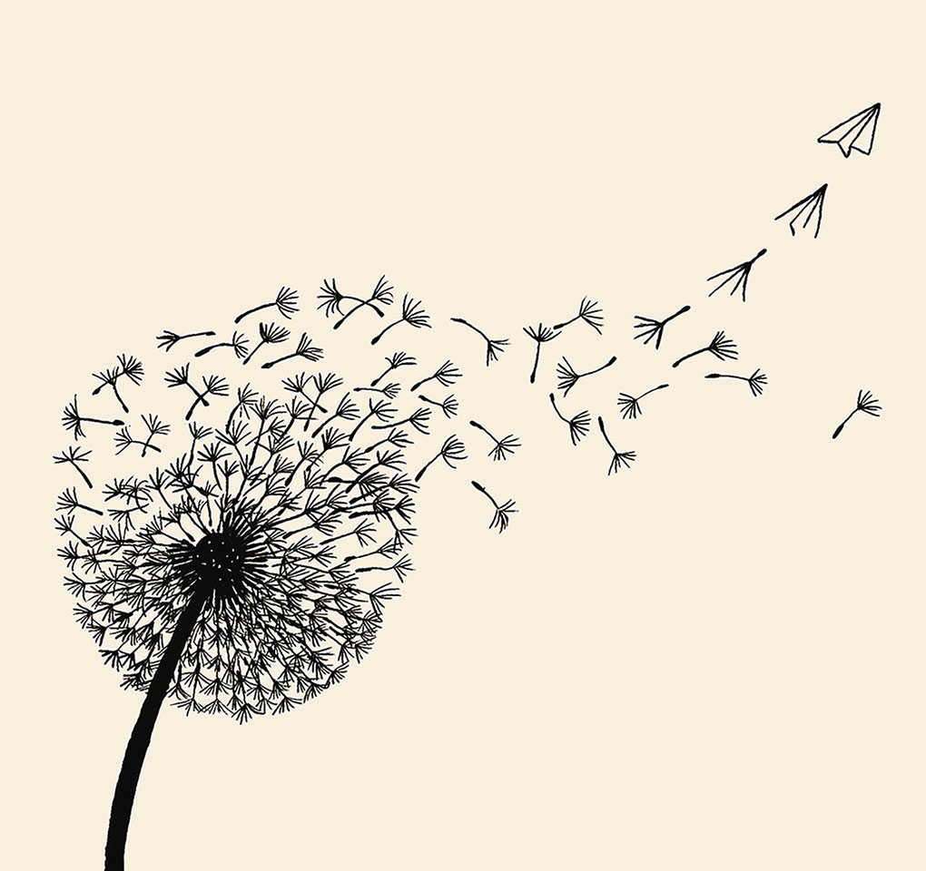 A dandelion with seeds blowing off in the wind, one taking the shape of a paper airplane.